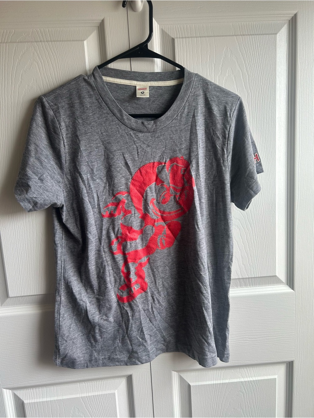 Homage Ohio State Buckeyes Brutus Buckeye Women’s T-Shirt Size Medium Gray